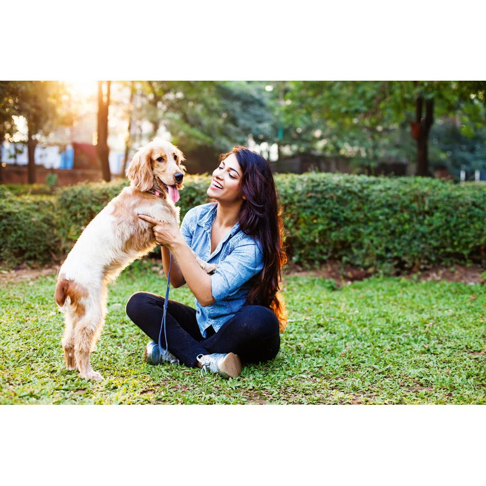 Kit de higiene para cachorro